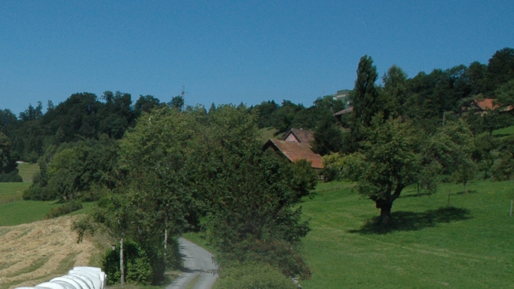 Chripfelihof, Edlibach