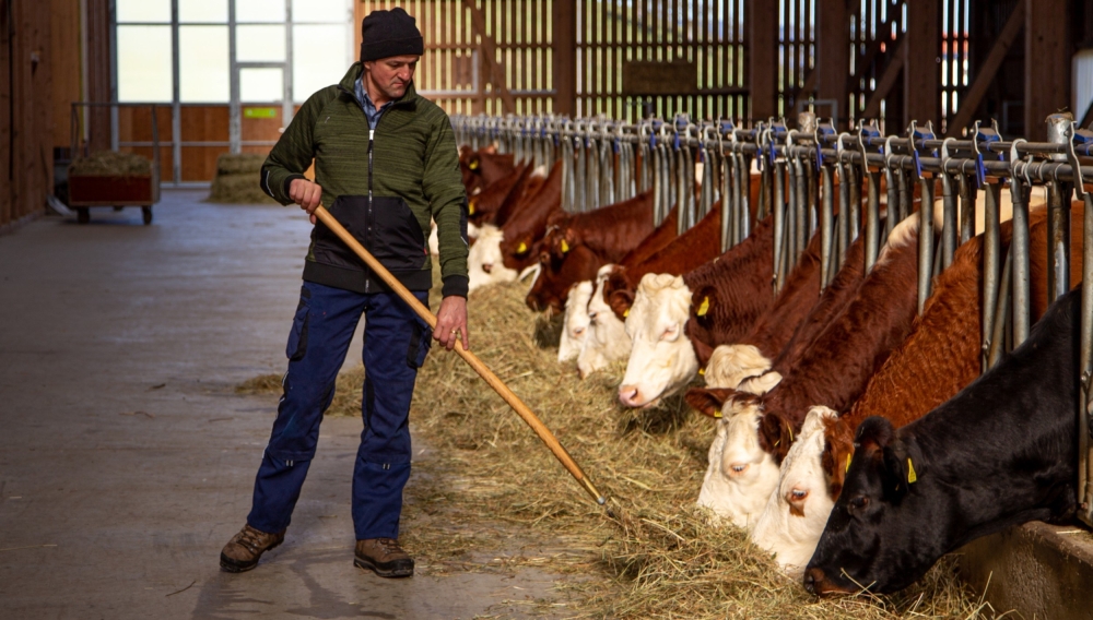 Biohof landwirt burgrain